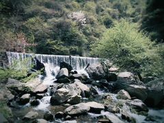 -少华山国家森林公园