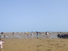 -刘家湾赶海园