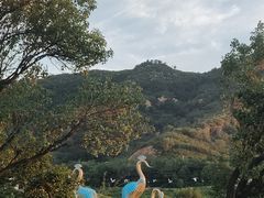 -密云玫瑰情园
