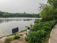 -北坞公园