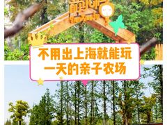 -前小桔亲子创意农场·草莓采摘·露营烧烤