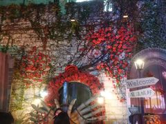 -厦门方特梦幻王国