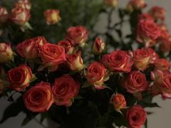 -有红鸡毛店·川菜(建设路店)