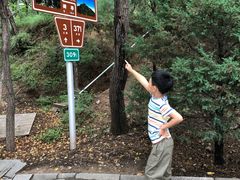 -阳台山自然风景区