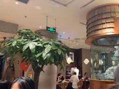 -云海肴·汽锅鸡·云南菜(领展购物广场·中关村店)