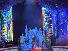 -广州长隆国际大马戏