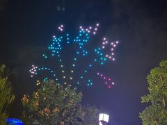-大塘金香草谷