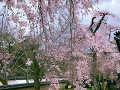 -醍醐寺