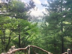 -汤旺河林海奇石景区
