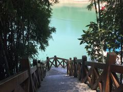 -广州市流溪河国家森林公园