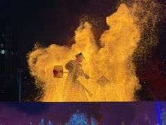 -海合安武汉极地海洋公园