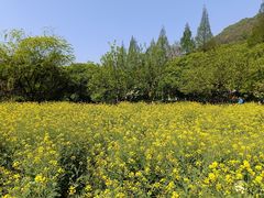 -八卦田遗址公园
