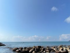 -广东惠东海龟国家级自然保护区