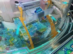 -莫莉幻想儿童乐园(北京天通苑华联店)