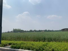 -中国天府农业博览园