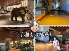 -齐河孔雀王温泉酒店·金孔雀自助百汇