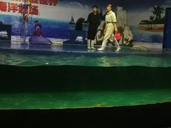 -重庆欢乐海底世界