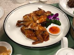 -中国饭店-餐厅