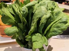 -浩爷羊蝎子火锅(望京店)