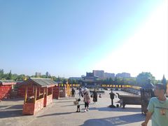 -大槐树寻根祭祖园