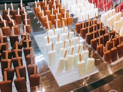 -Patagonia Chocolates(皇后镇店)
