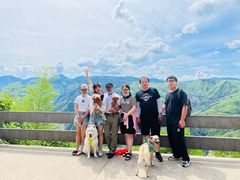 -藏龙百瀑风景区