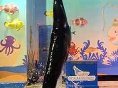 -太平洋海底世界