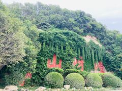 -嵖岈山风景区