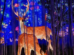 -欢乐海岸椰林沙滩-2025湾区超级灯会