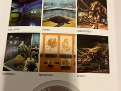 -天津自然博物馆