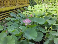 -天津盘山风景名胜区