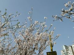 -西北湖绿化广场