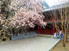 -潭柘寺景区