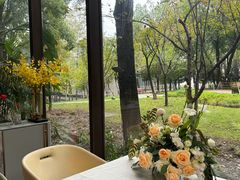 -重庆市江北嘴中央商务区中央公园