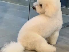 -PETKIT小佩宠物(古北店)