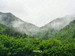 -杨家堂村
