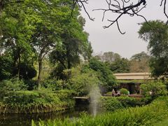 -广州兰圃
