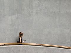 -柳州白莲洞洞穴科学博物馆