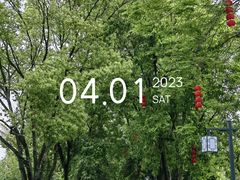 -永安龟山公园