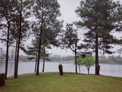 -美兰湖景区