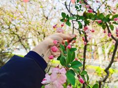 -永乐路-路侧停车场