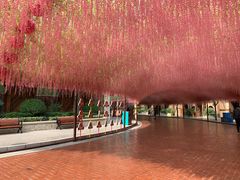 -郑州方特梦幻王国