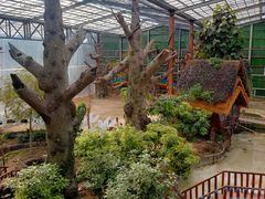 -呀路古热带植物园