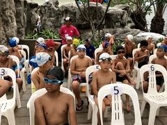 -海豚之星游泳俱乐部(喜来登馆)