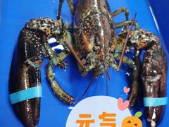 -船奇蒸汽海鲜·闽菜(八市海鲜总店)