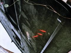 -宁波市保国寺古建筑博物馆