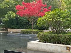 -星巴克(天津佛罗伦萨小镇店)