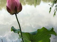 -老娘舅餐厅(黄龙体育中心店)