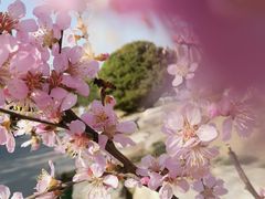 -燕郊植物园