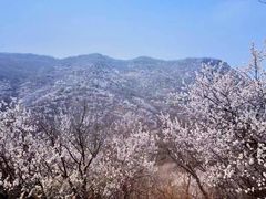 -香山公园